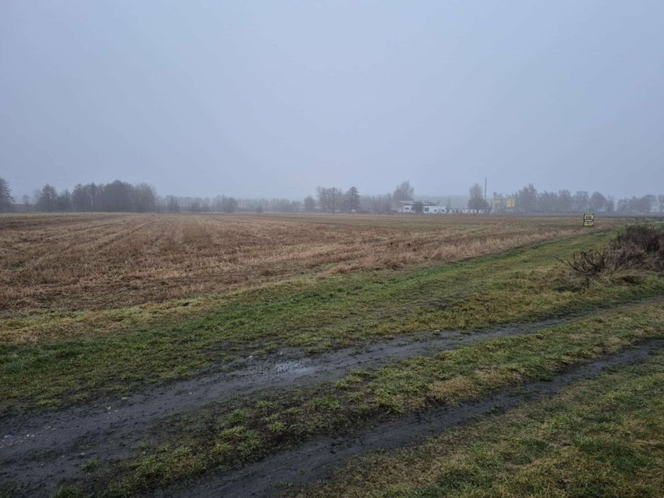 Wynajmę parking, garaż, hale, magazyn