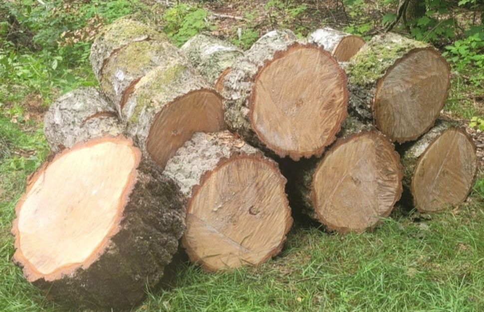 Drewno opałowe, kominkowe, sezonowane
