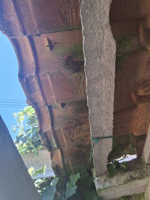 1000 telhas Margon Cruz da Légua