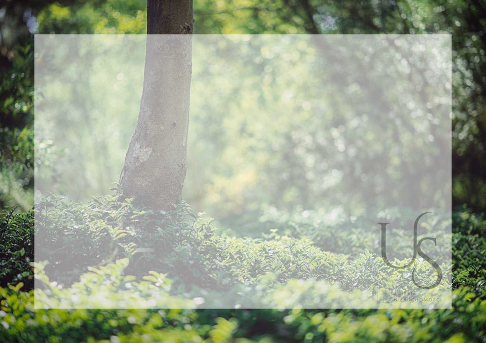 Na sprzedaż LAS - prawie 8 Ha