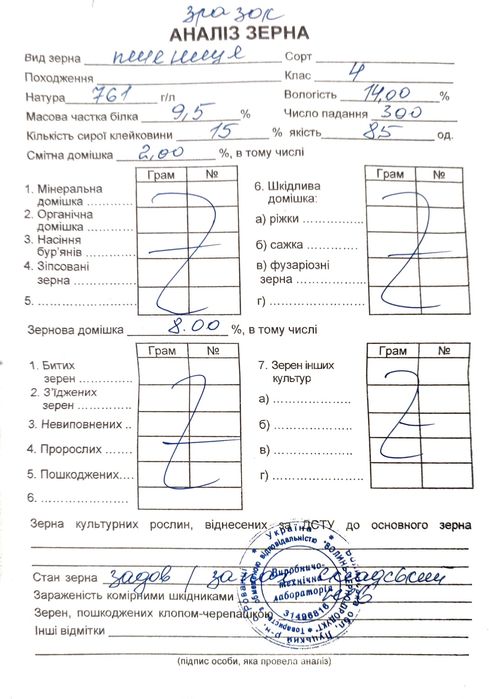 Пшениця Зерно .                .