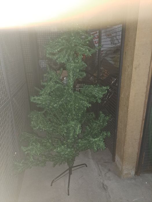 Pinheiro de natal 2.10m