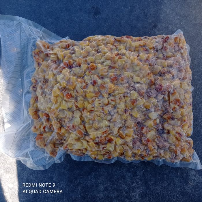 Kukurydza wędkarska gotowana oraz pellet aller i skretting