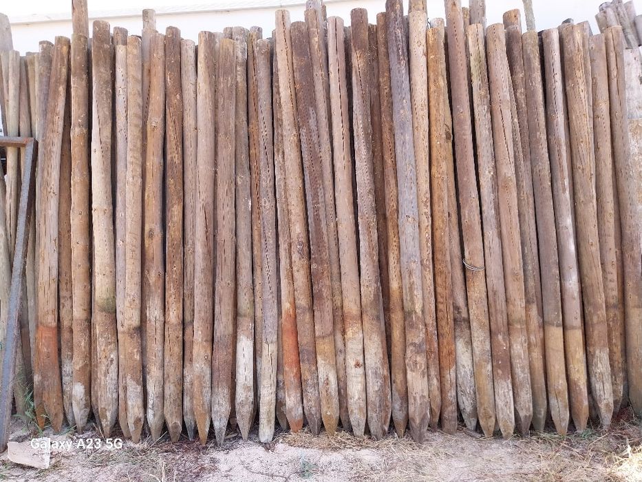 Paus usados de estufa e vinha