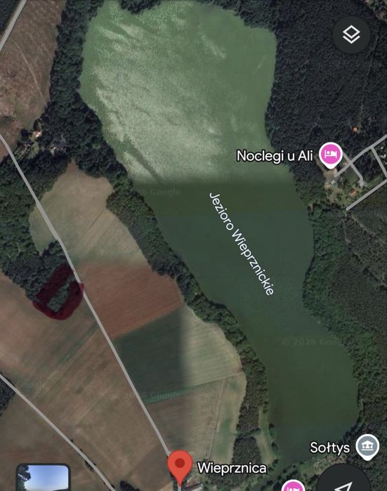 Działka leśna Kościerzyna