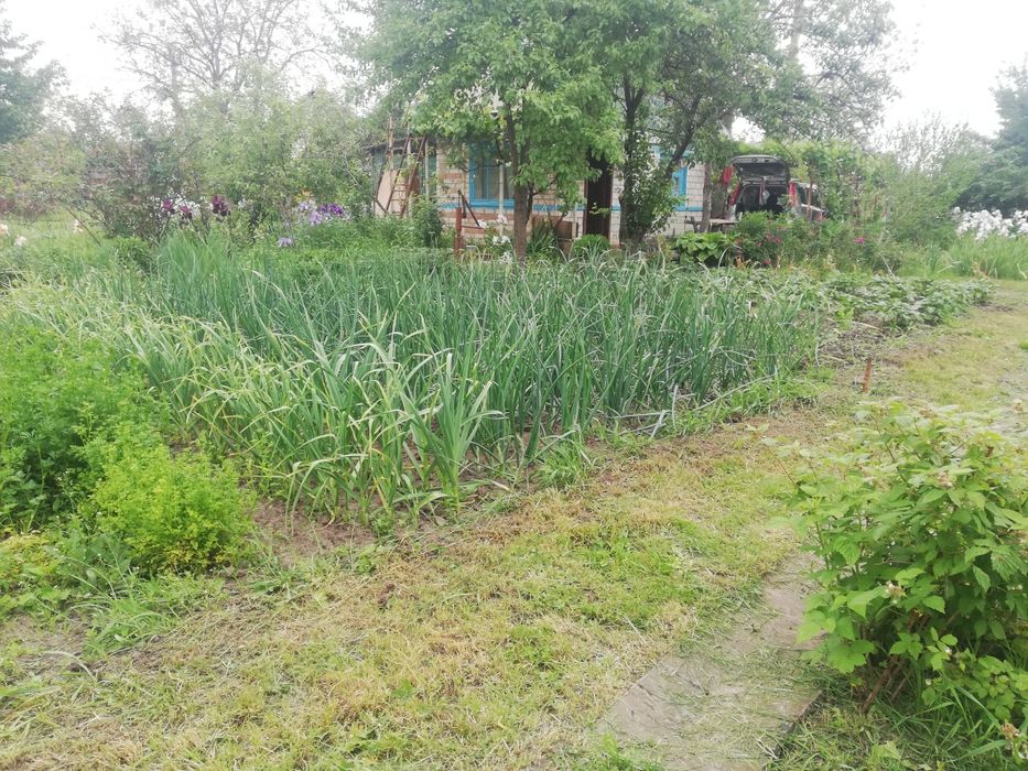 Дача з цегляним будинким кооператив Озон