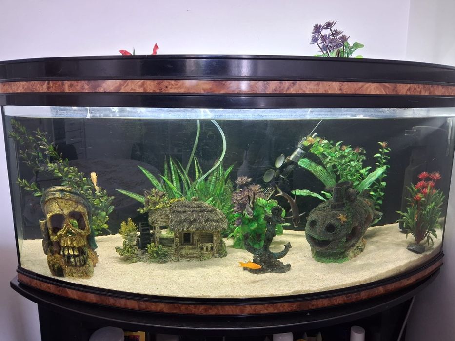 Vendo aquário e caixa transporte animal.