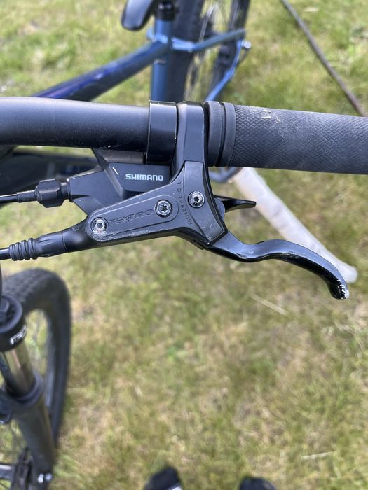 Rower górski Giant liv