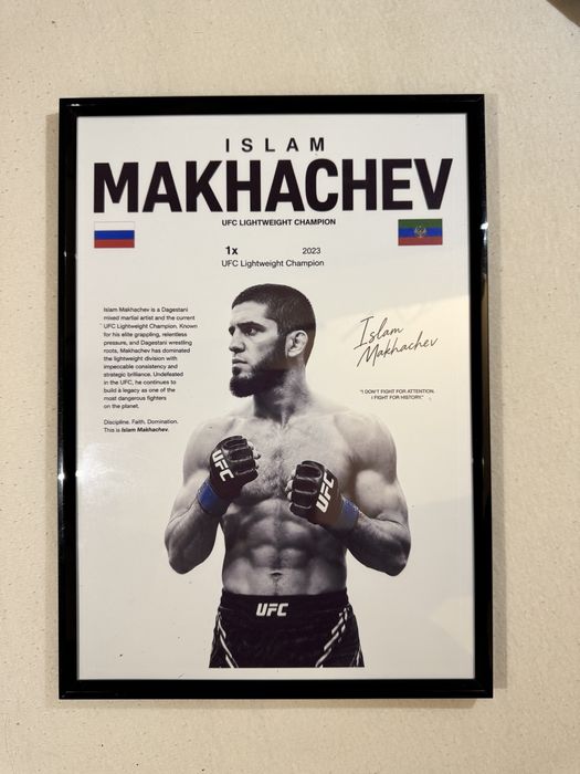 Spersonalizowany Obraz UFC
