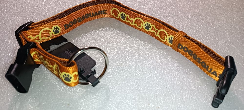 Coleira para cão em estado novo