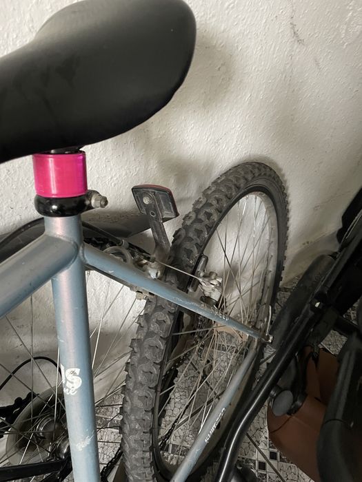 Rower author polecam