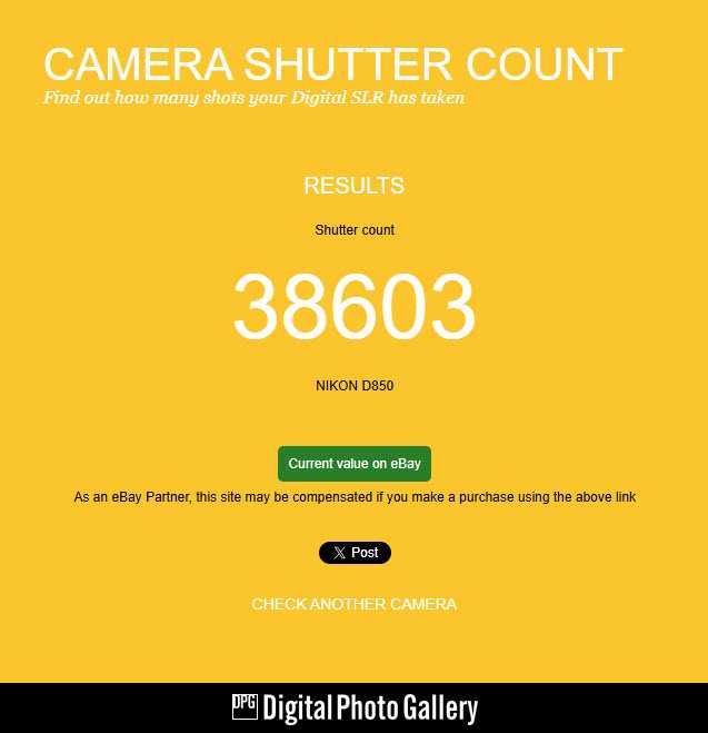 Nikon D850 + NIKKOR 70-200mm + NIKKOR 20 mm + NIKKOR 60 mm + SB-5000