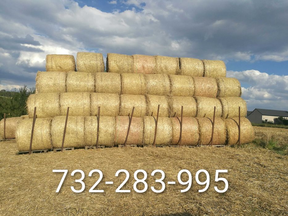 Sprzedam słome w belach