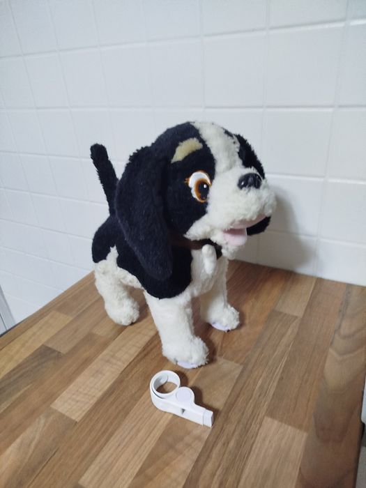 Interaktywny piesek Bobby