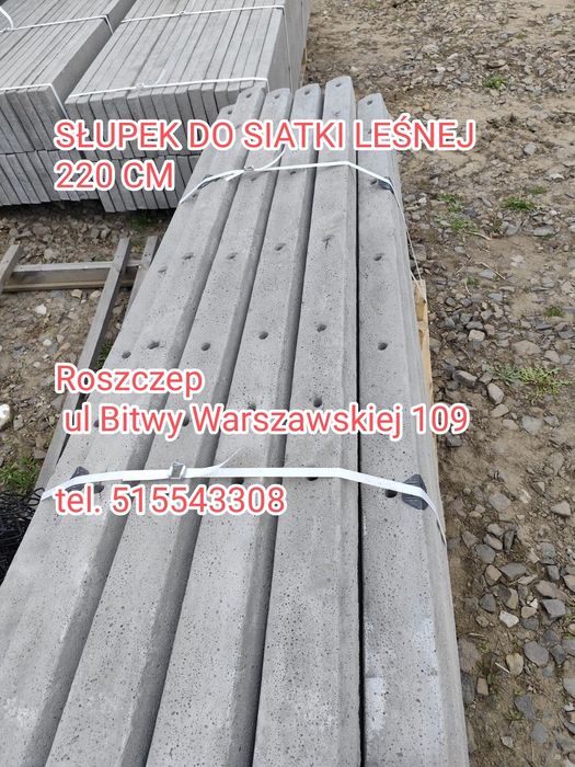 Słupek betonowy do siatki leśnej 220 cm wysokość