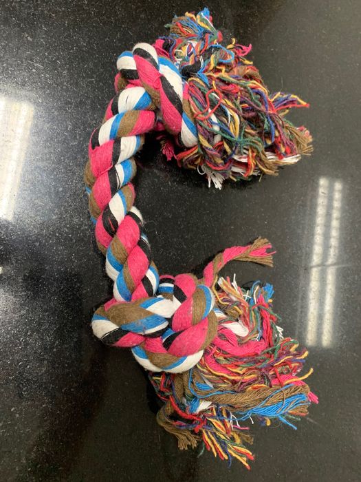 Escova para cão e brinquedo