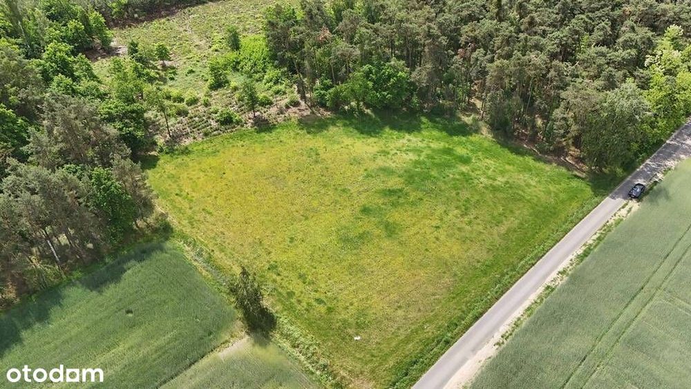 Wyjątkowa Działka przy lesie - Masanów - Widok 5