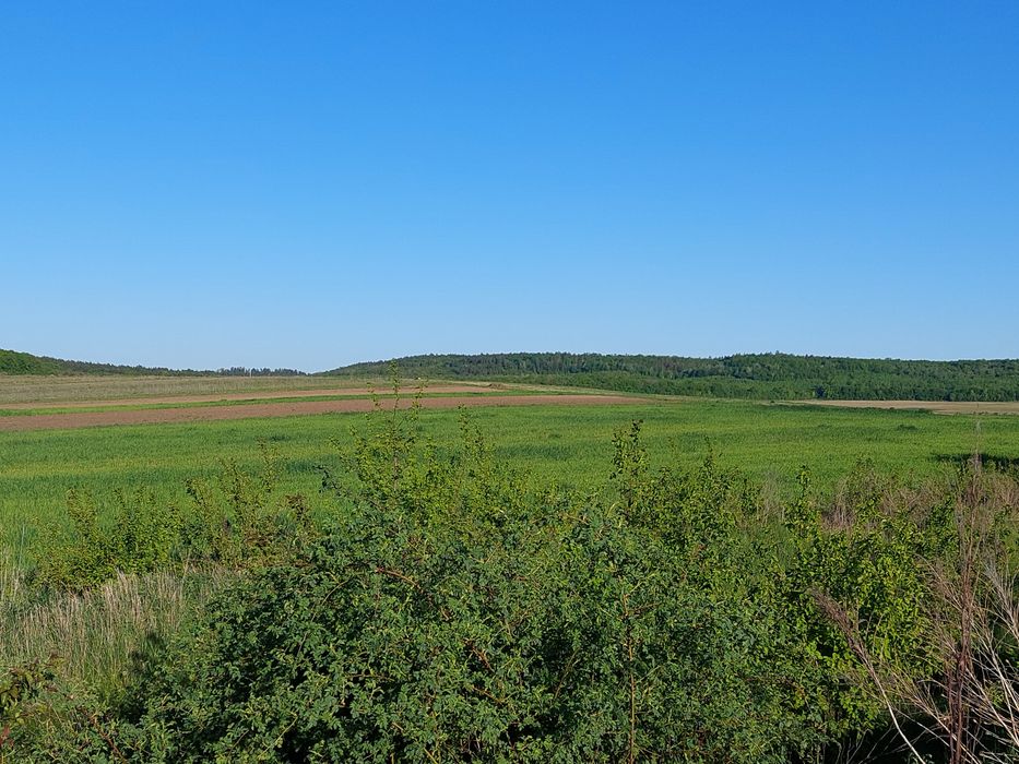 Продам земельну ділянку Колоденка