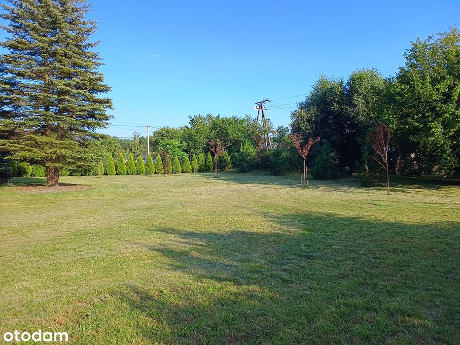 Działka budowlana 10,69 ara w sercu Jury Krakowsko-Częstochowskiej