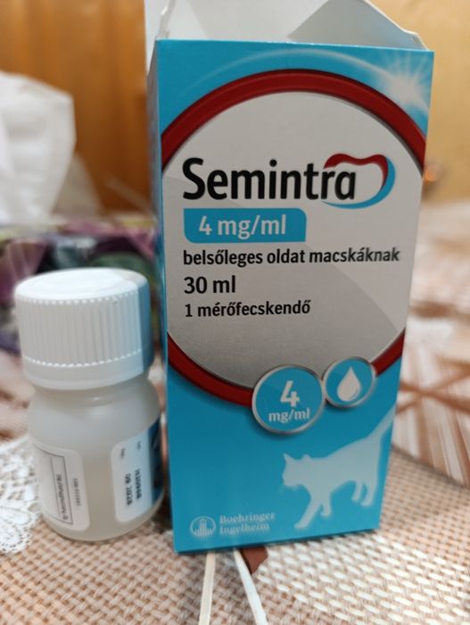 Семінтра для котів.