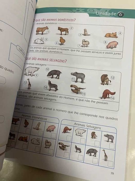 Livro exercícios Estudo do Meio 2o Ano - Saltitão