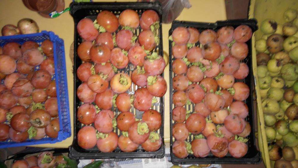 Fruta: marmelos, diospiros, peras, maçãs, pêra abacate, physalis, piri