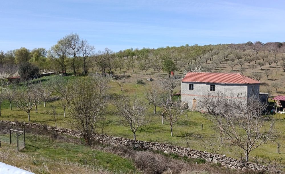 10 Hectares (100.000m2)  Terreno Agrícola Duas Igrejas Miranda do Douro, bem localizado, água e com maquinaria agrícola