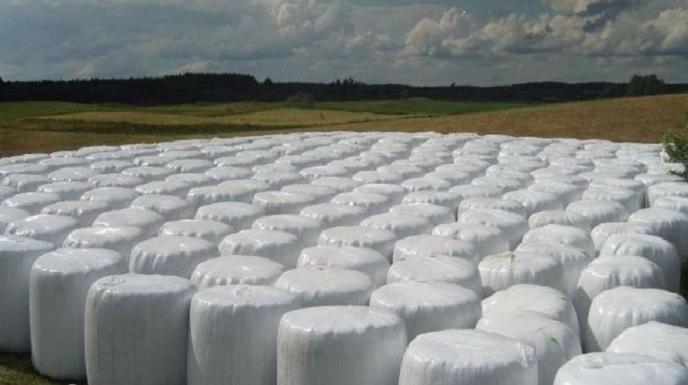 Baloty kiszonki, sianokiszonka, 400 sztuk