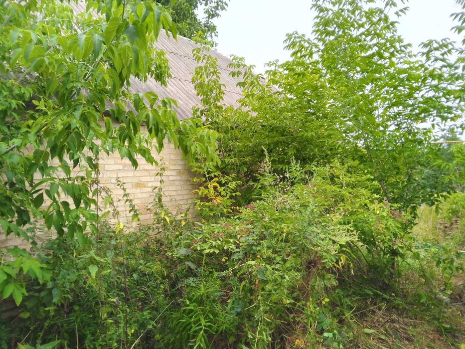 БЕЗ % продам земельну ділянку 25 соток з будинком. с. Липовий Скиток.