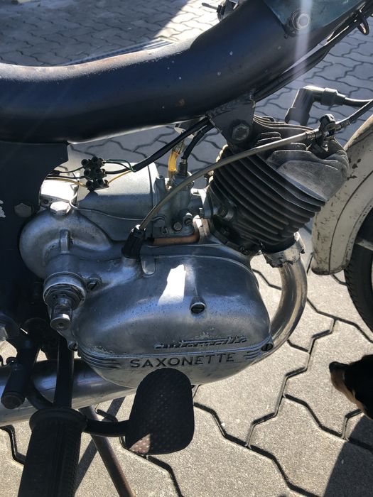 Sachs minor gt