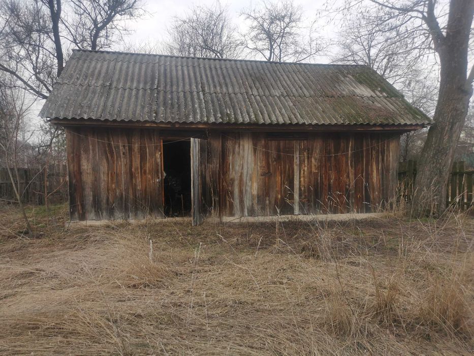 Без % продаж будинку с Нічогівка Козелецький р-н 36 соток Чернігівська