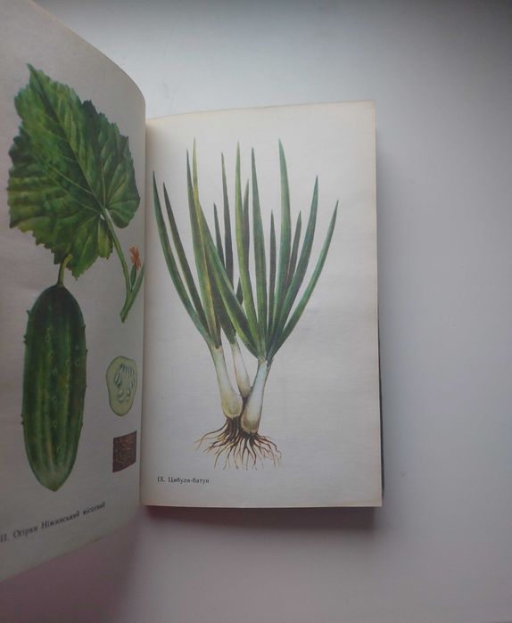 Книга «На допомогу городникам» - СРСР!