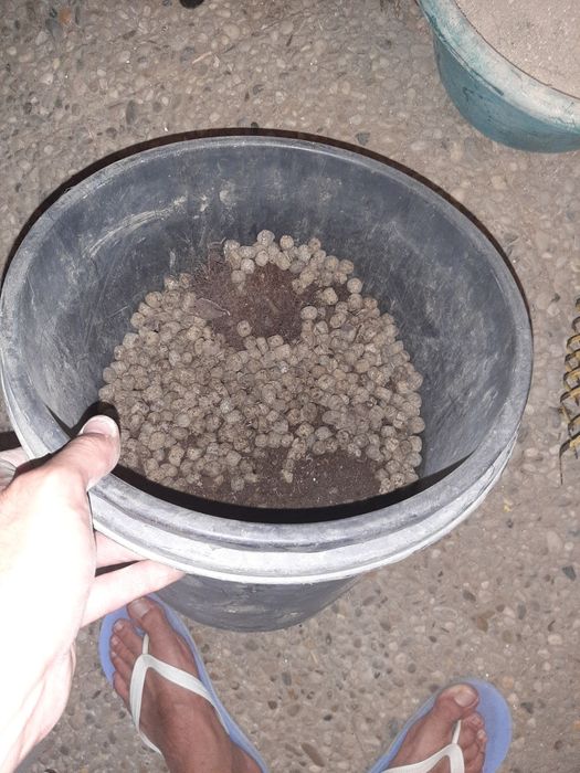 Vaso preto vaso preto