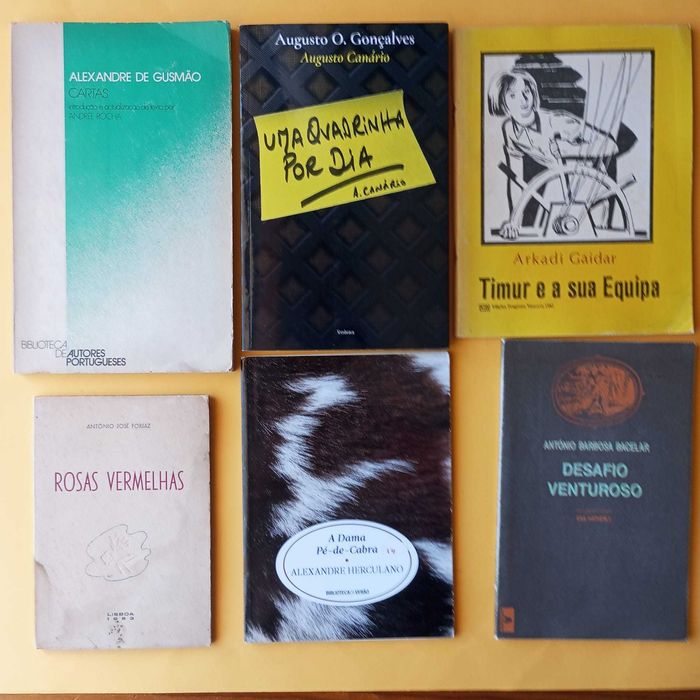 Coleção de Livros Mistos - Autores Variados - Conjunto 18