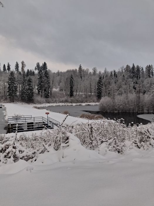 Apartamenty  wolny termin