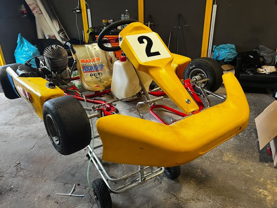 Gokart Dino kart wyczynowy IAME 100ccm