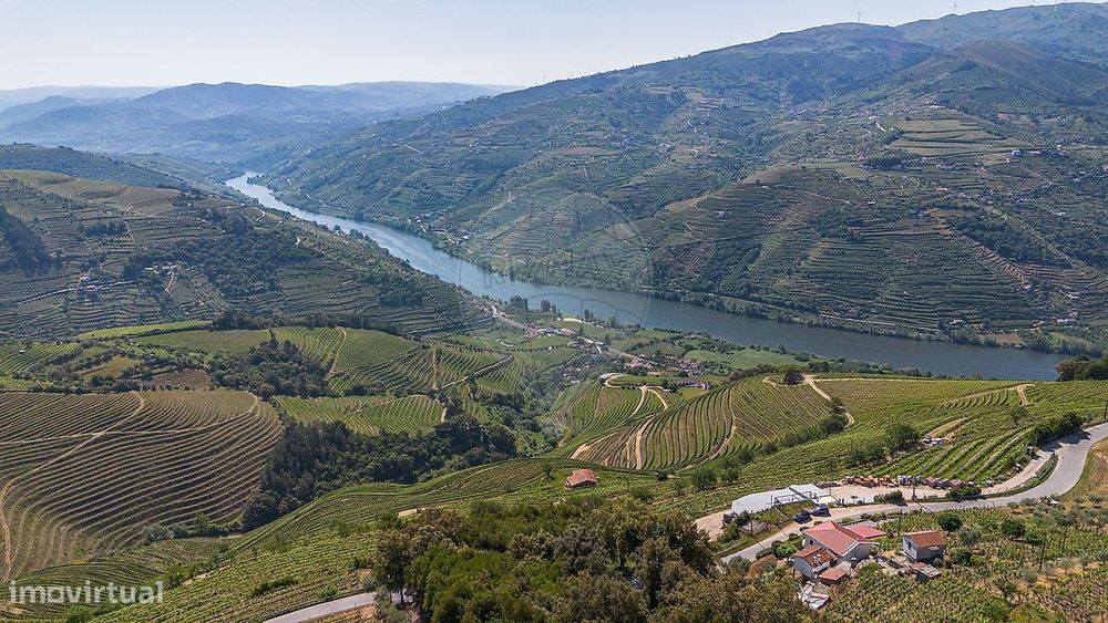 Terreno  para venda — Mesão Frio (Santo André), Vila Real