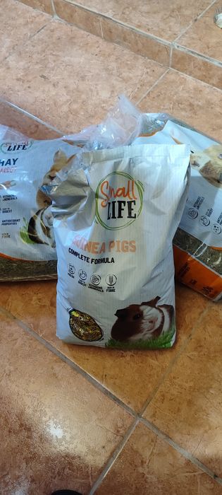 Gaiola/ casota para porco da Índia ou hamster