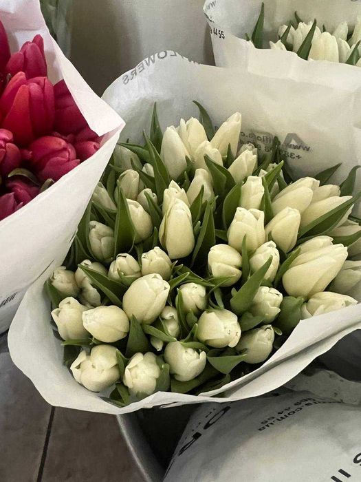 Тюльпан, самовивіз та доставка Дніпро, 40ГРН, Кращі квіти!