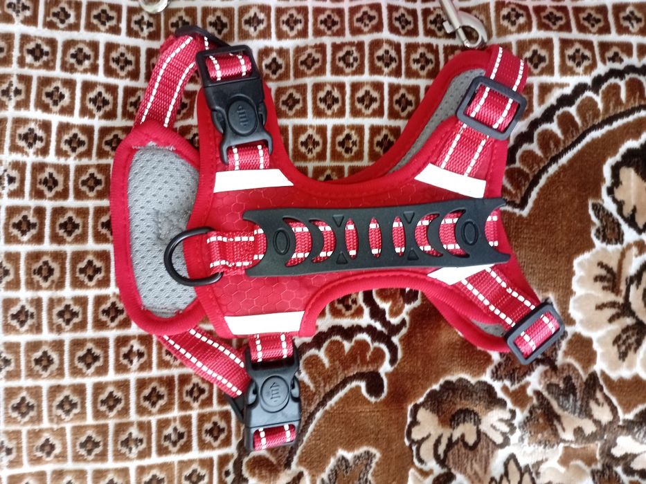 Продам для песика