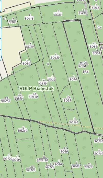 Drzewo tartaczne sosna - Las 3,02ha