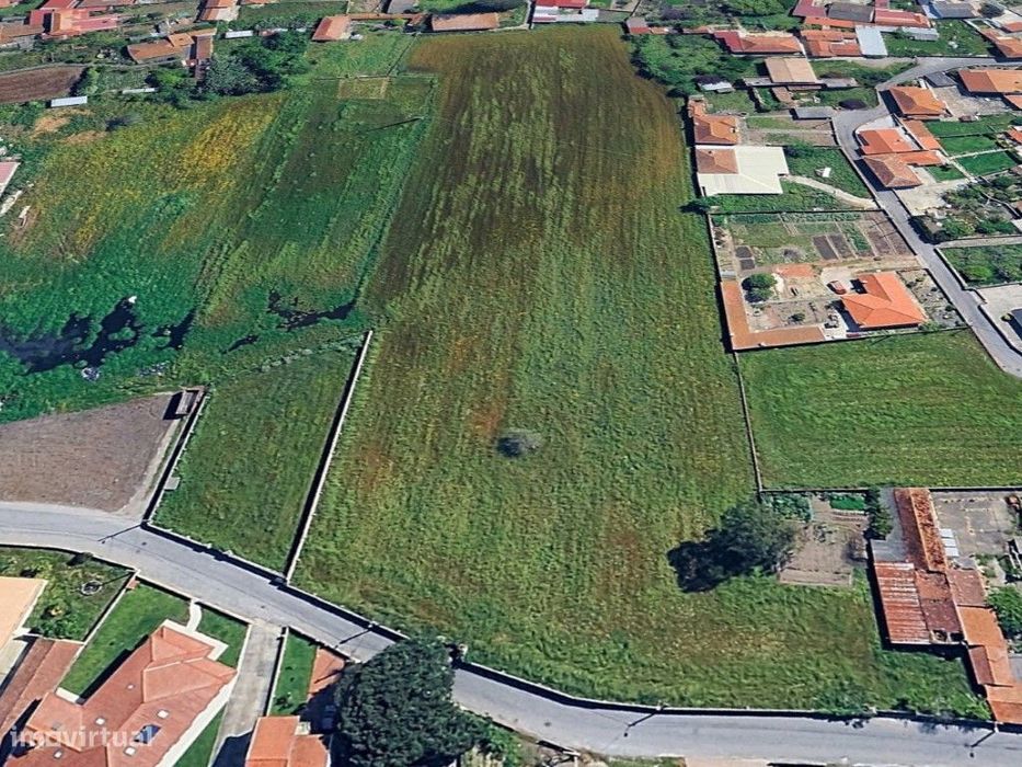 Land Plot in Murtosa