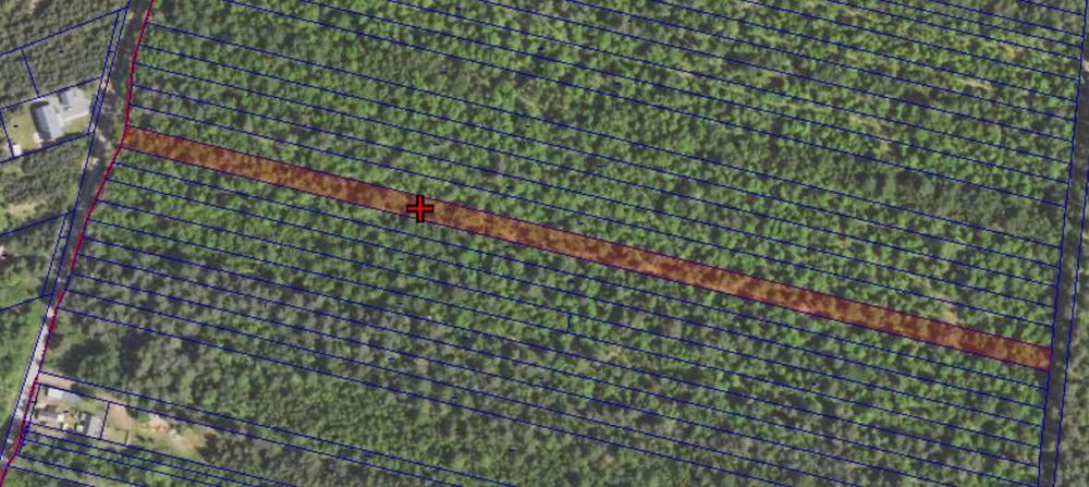 Działka leśna z potencjałem rekreacyjnym – 6000 m²