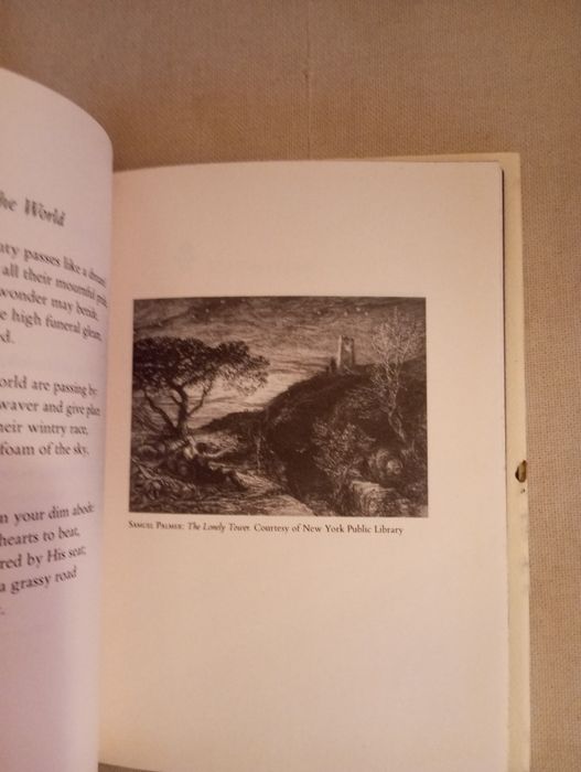W. B. Yeats (Autor Prémio Nobel) - A Poet to his Beloved