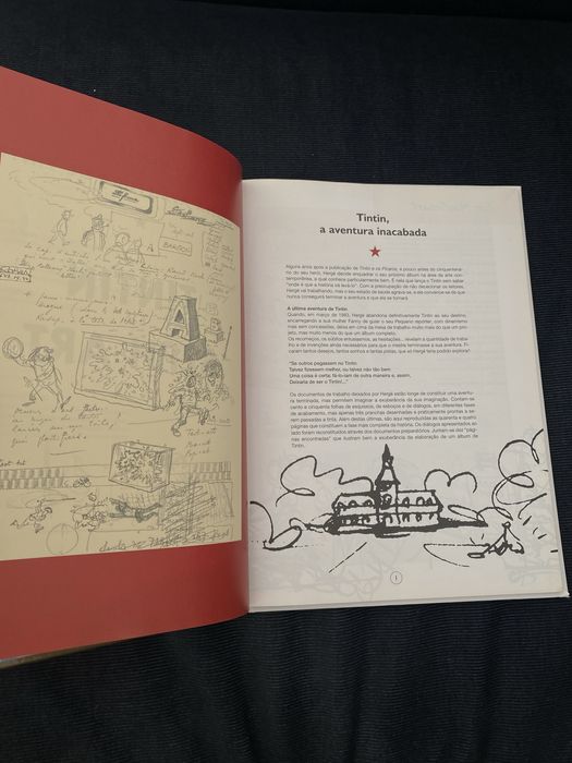 TinTin edicao especial