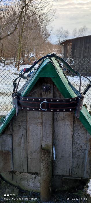 Упряжь шкіряна на гуцула , упряжь кожаная лошади коню