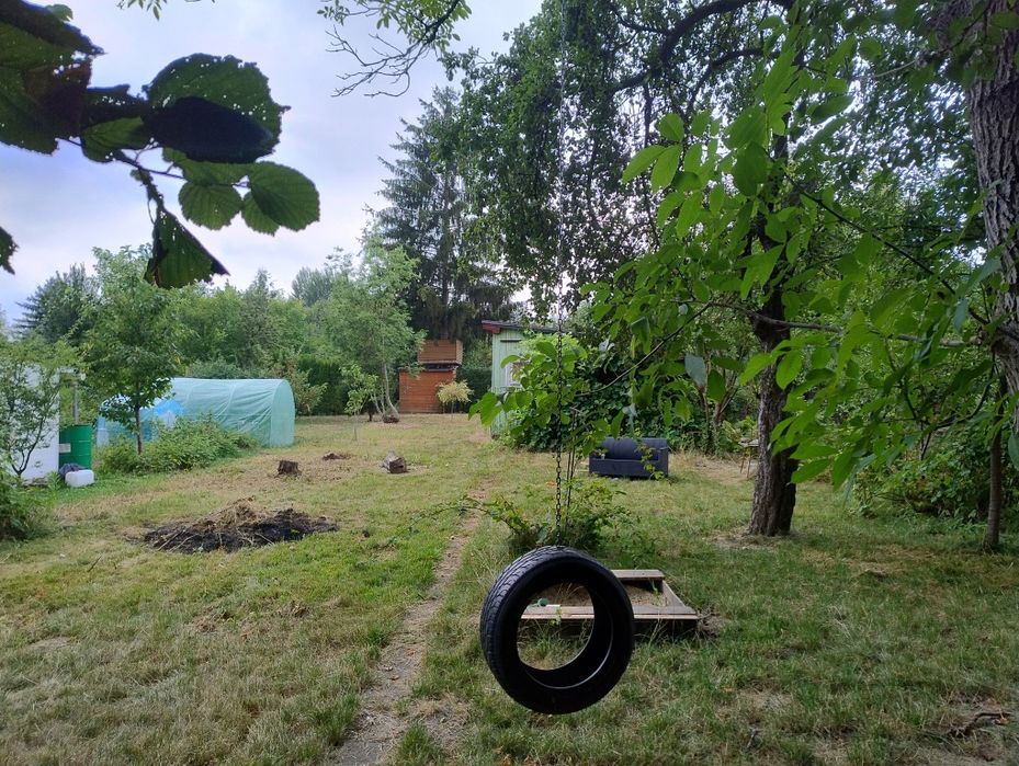 Działka w ROD im Szafera, Staromiescie - Widok 5