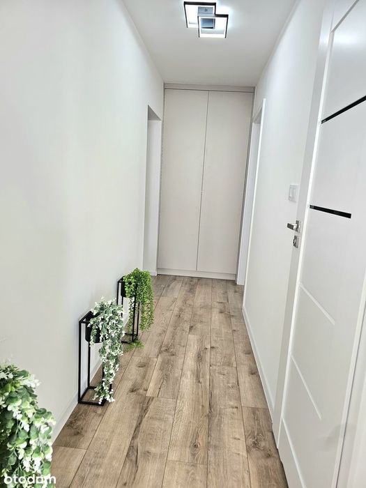 3 pokoje po remoncie, gotowe, blisko centrum, BEZPOŚREDNIO