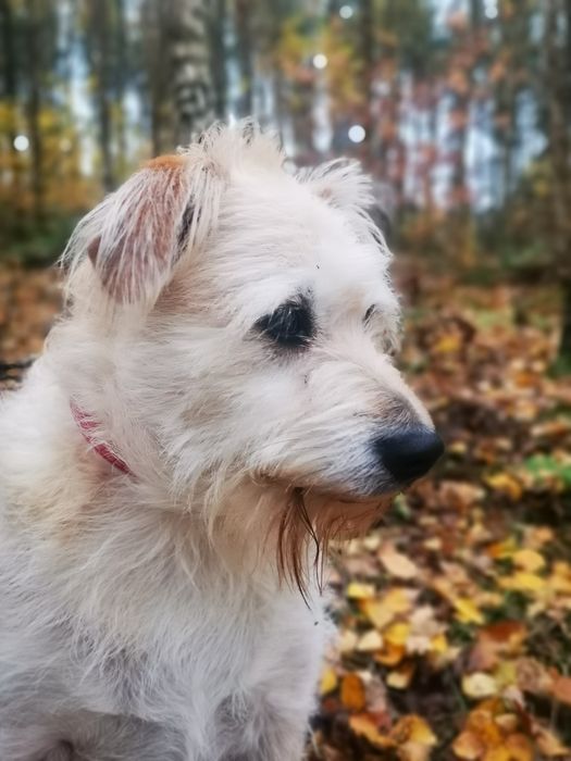 Mila i Kaja szukają domu