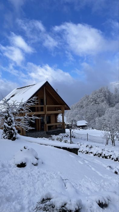 Деревʼяний будинок з чаном на Закарпатті